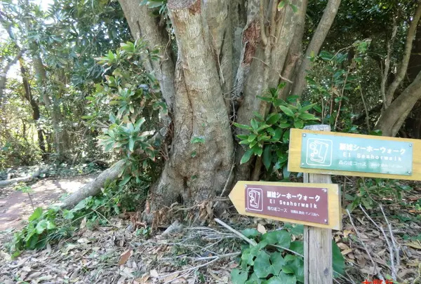 番所鼻自然公園の写真・動画_image_235793