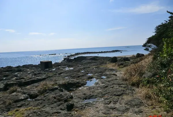 番所鼻自然公園の写真・動画_image_235794