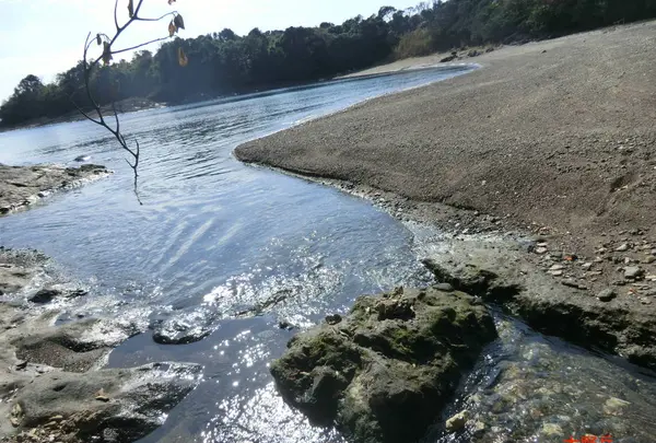 番所鼻自然公園の写真・動画_image_235797