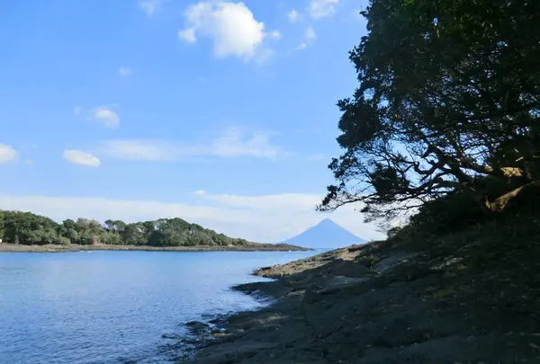 番所鼻自然公園の写真・動画_image_235798