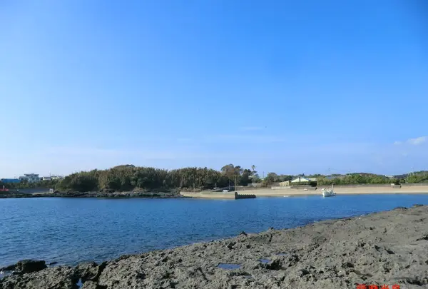 番所鼻自然公園の写真・動画_image_235802