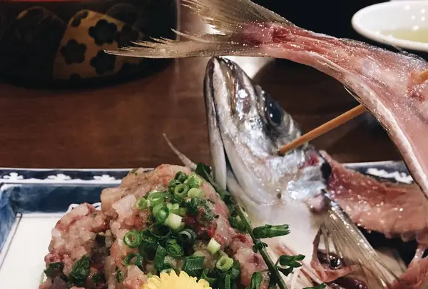 一山 いけすの写真・動画_image_235829