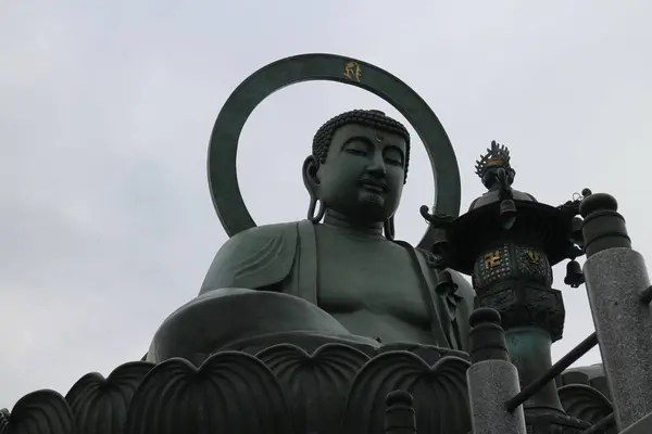 高岡大仏の写真・動画_image_235838