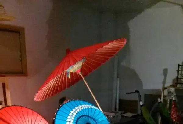 美馬市観光文化資料館の写真・動画_image_235843