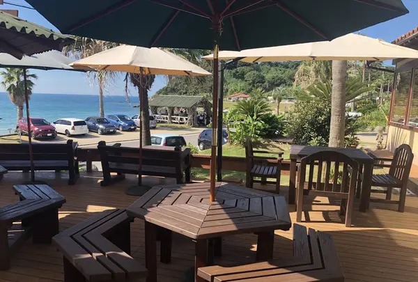 糸島市の写真・動画_image_235955