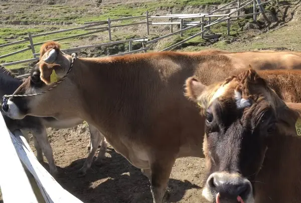 サンメッセ日南の写真・動画_image_236006