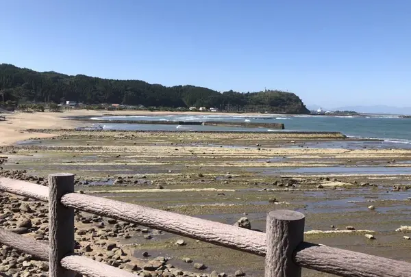 鬼の洗濯板の写真・動画_image_236028