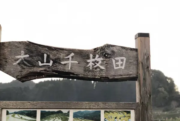 大山千枚田の写真・動画_image_236047