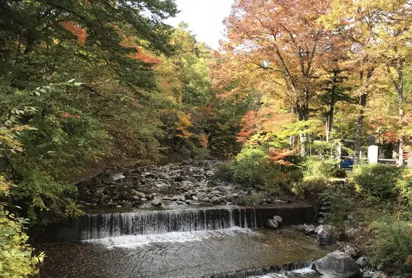 古峯神社の写真・動画_image_236210