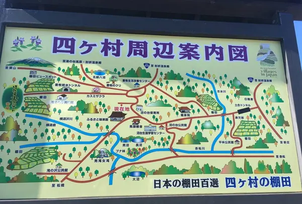 四ケ村の棚田の写真・動画_image_236218