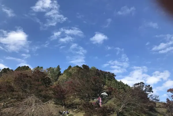 比叡山延暦寺の写真・動画_image_236308