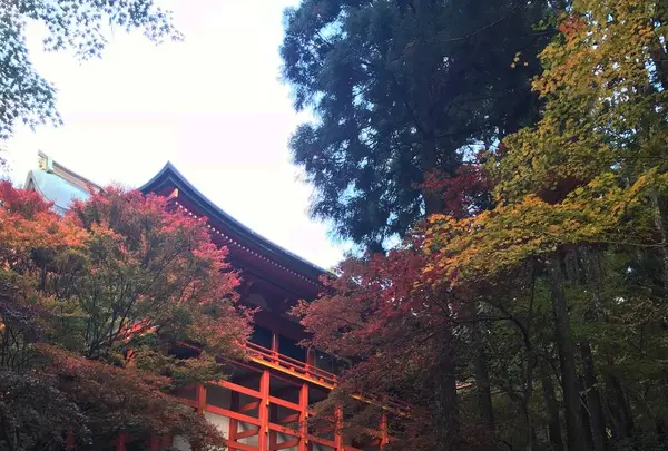 比叡山延暦寺の写真・動画_image_236310