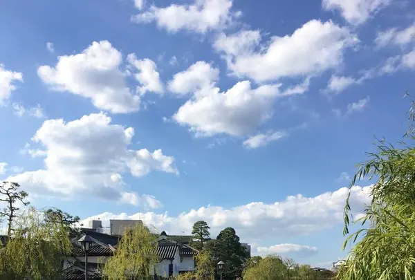 倉敷美観地区の写真・動画_image_236320