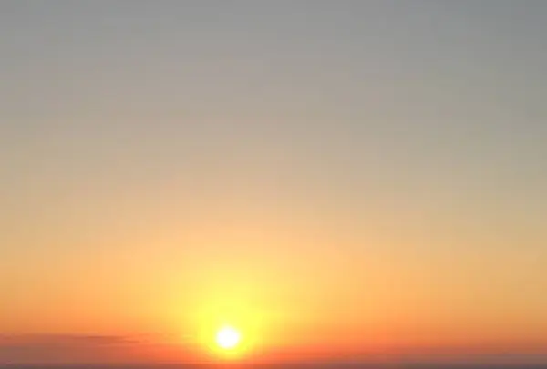 ふたりとわに 縁の写真・動画_image_236331