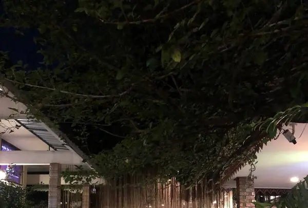 Lila Thai Massage Ratchapakhinaiの写真・動画_image_236418