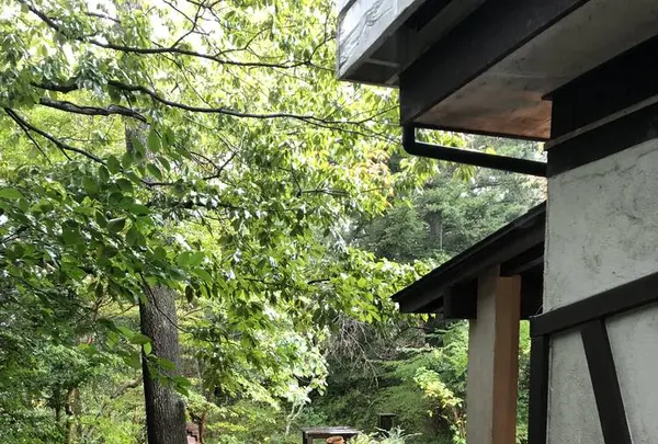 ベーカリーカフェ ル・フィヤージュの写真・動画_image_236451