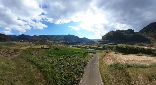 栃又の棚田の写真・動画_image_236513