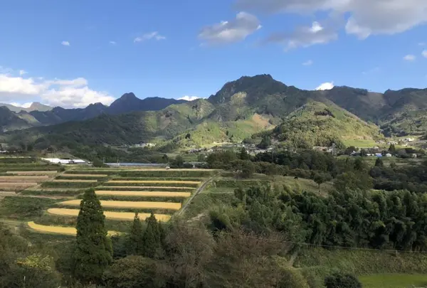 栃又の棚田の写真・動画_image_236514