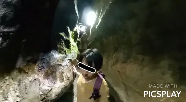 千仏鍾乳洞の写真・動画_image_236539