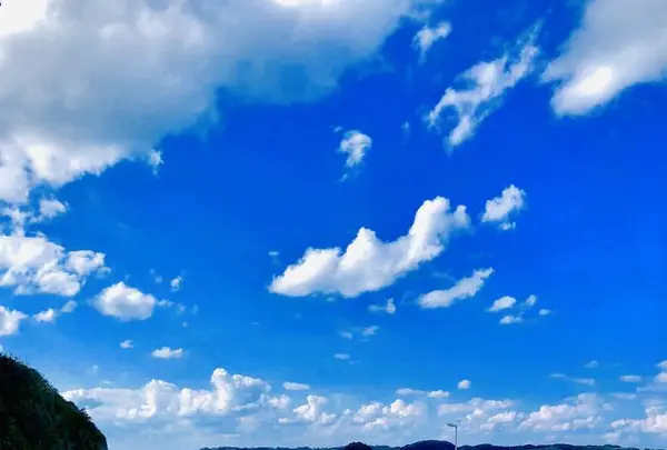 角島大橋 (つのしまおおはし)の写真・動画_image_236583