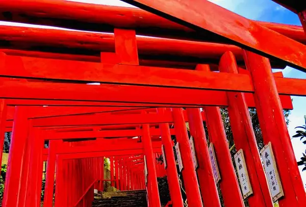元乃隅神社の写真・動画_image_236588