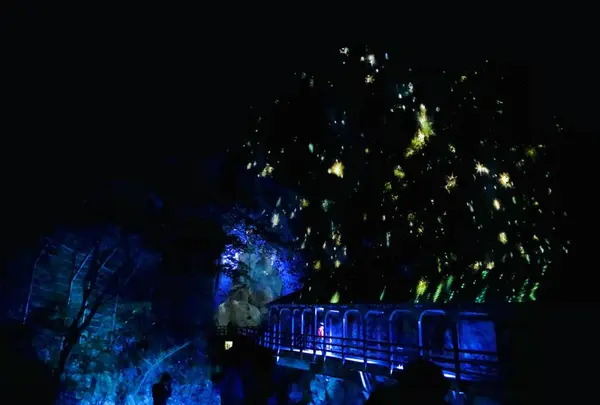 秋芳洞の写真・動画_image_236595