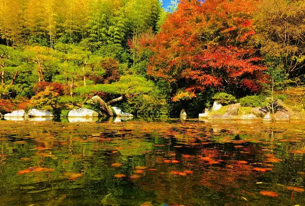 三景園の写真・動画_image_236609