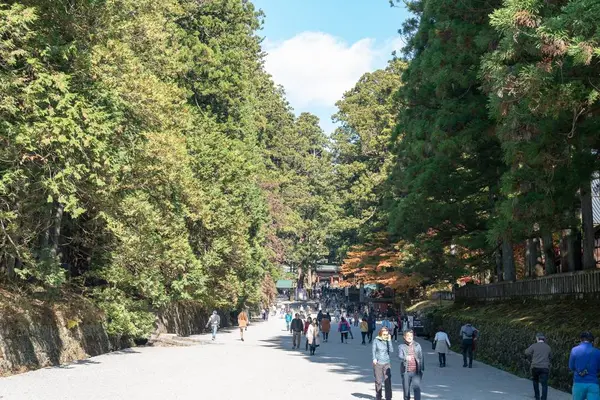 日光東照宮の写真・動画_image_236625