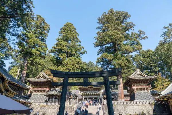 日光東照宮の写真・動画_image_236626