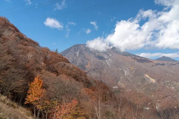 いろは坂の写真・動画_image_236629