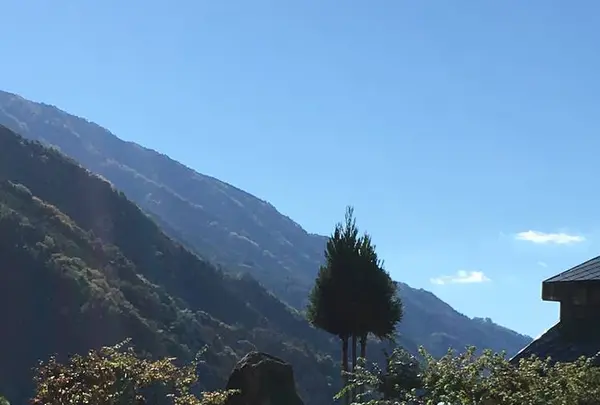 遠山温泉郷かぐらの湯の写真・動画_image_236897