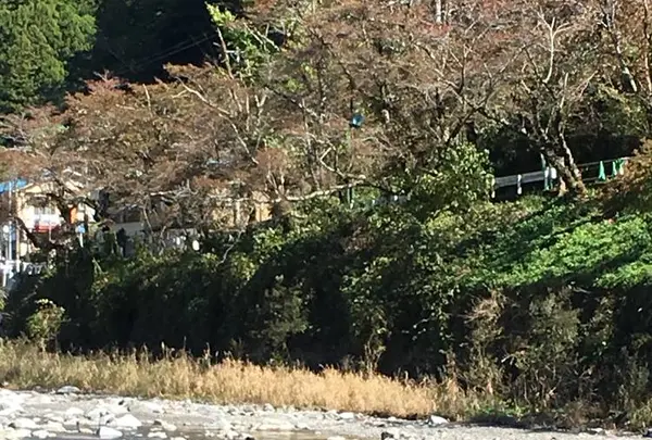 水窪町の写真・動画_image_236898