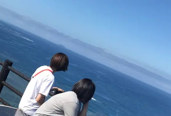 比嘉ロードパークの写真・動画_image_236968