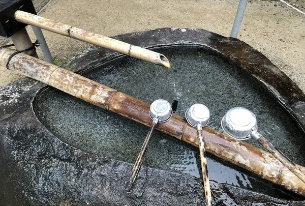 白山神社の写真・動画_image_237094