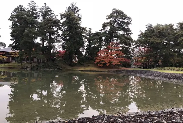 毛越寺庭園の写真・動画_image_237096