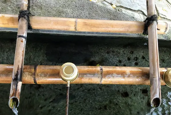 毛越寺庭園の写真・動画_image_237097