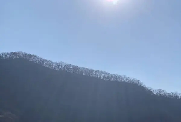 榛名湖の写真・動画_image_237163