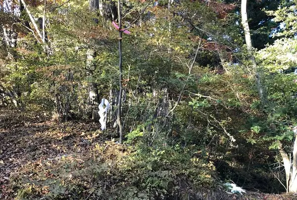 榛名神社の写真・動画_image_237171
