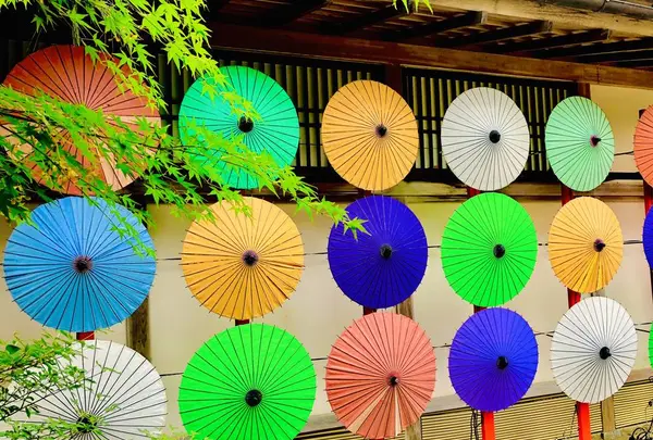 由志園の写真・動画_image_237179