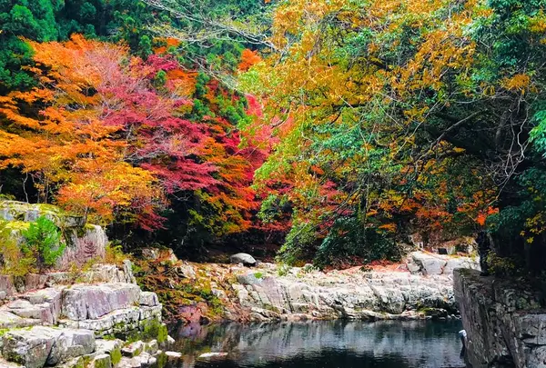 奥津渓の写真・動画_image_237184