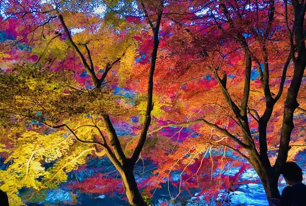 奥津渓の写真・動画_image_237186