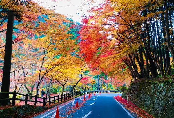 奥津渓の写真・動画_image_237188