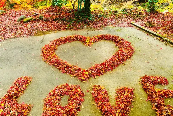 奥津渓の写真・動画_image_237189