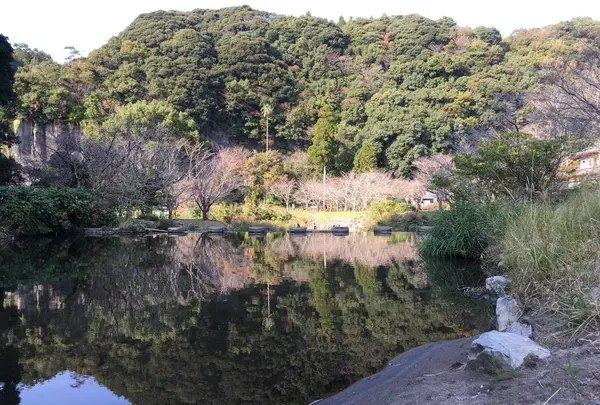 岩屋公園の写真・動画_image_237239