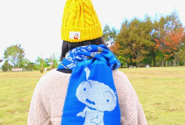 お得なチケットの写真・動画_image_237241