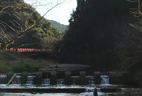 岩屋公園の写真・動画_image_237246
