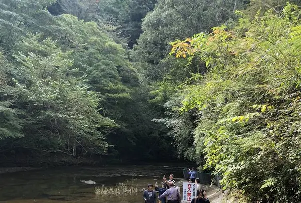 濃溝の滝の写真・動画_image_237276