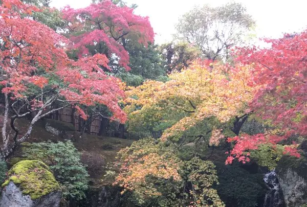 箱根美術館の写真・動画_image_237331