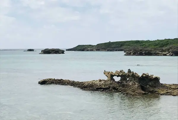 うえのドイツ文化村の写真・動画_image_237340