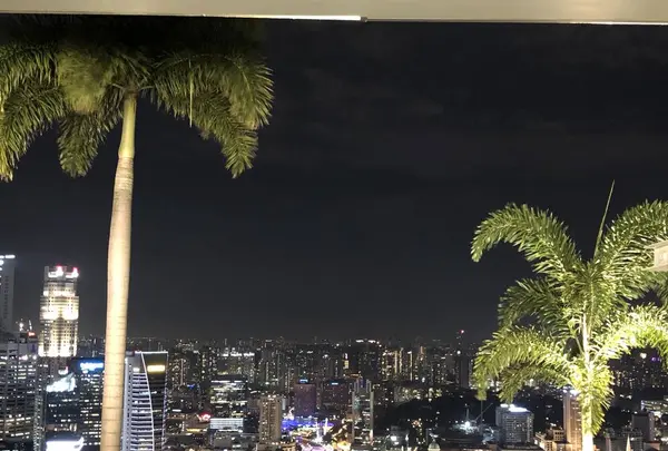 Spago Singaporeの写真・動画_image_237387